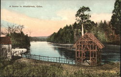 View of River Postcard