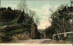 New Dug Way North Woodbury, CT Postcard Postcard Postcard