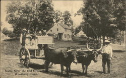 Scene Near the Old Orton Tavern Woodbury, CT Postcard Postcard Postcard