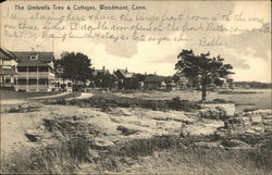 The Umbrella Tree and Cottages Woodmont, CT Postcard Postcard Postcard