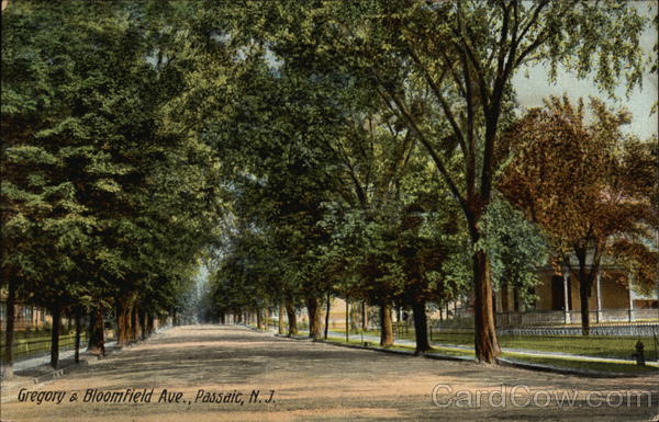 Gregory & Bloomfield Avenue View Passaic New Jersey