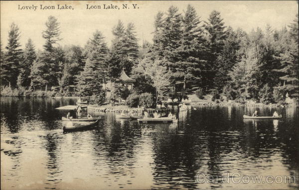 Lovely Loon Lake New York