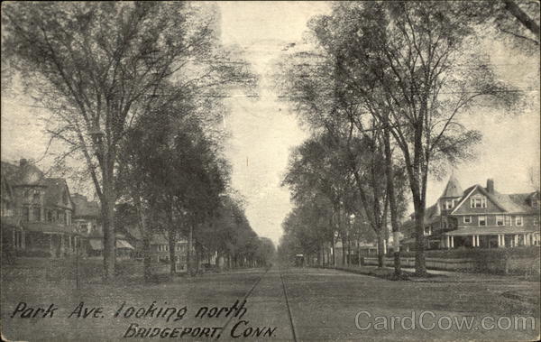 Park Avenue, looking North Bridgeport Connecticut
