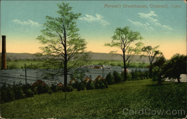 Piersons's Greenhouses Seen At Dusk Cromwell Connecticut