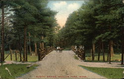 Rustic Bridge, Whalom Park Postcard