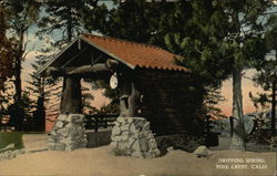 Dripping Spring Pinecrest, CA Postcard Postcard Postcard