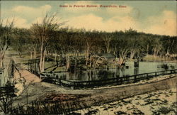 Scene in Powder Hollow Postcard