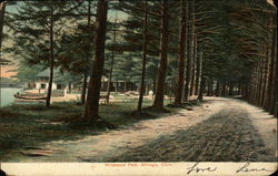 Path, Woods, And Lake At Wildwood Park Killingly, CT Postcard Postcard Postcard