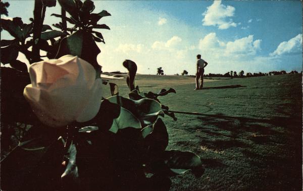 Magnolia Course - Walt Disney World Orlando Florida