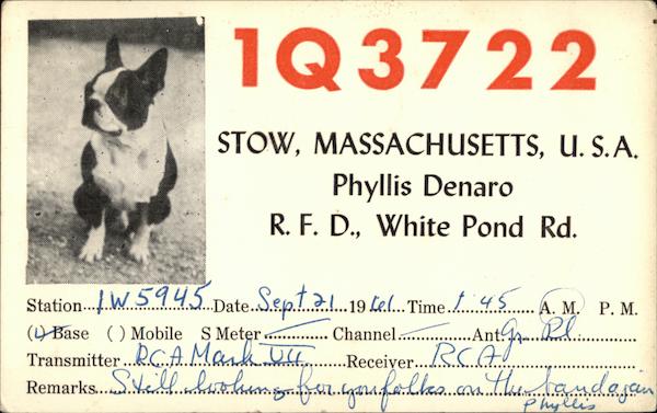 Call Sign 1Q3722 - Phyllis Denaro, Stow, MA QSL & Ham Radio