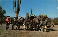 Orville Ewing - Artist and Traveler Postcard