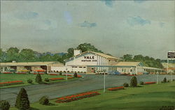 Yale Motor Inn Postcard