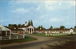 Colony Motel Jamestown, NY Postcard Postcard Postcard