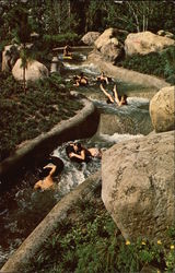 River Country Postcard