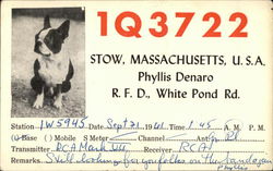 Call Sign 1Q3722 - Phyllis Denaro, Stow, MA Call Sign 1Q3722 - Phyllis Denaro, Stow, MA