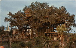 Swiss Family Island Treehouse Postcard