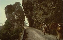 Northern Okinawa - Natural Tunnel Postcard