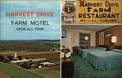 Harvest Drive Farm Motel and Restaurant Postcard