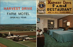 Harvest Drive Farm Motel and Restaurant Postcard