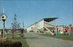 General View of Fair Grounds Danbury, CT Postcard Postcard Postcard