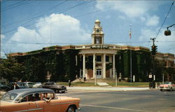 View of Town Hall Postcard