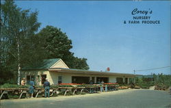 Corey's Nursery and Farm Produce Hamden, CT Postcard Postcard Postcard