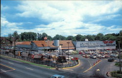 Stew Leonard's - The World's Largest Dairy Store Postcard