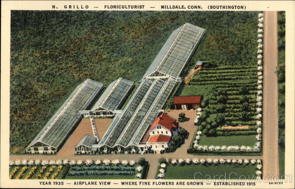 N. Grillo - Floriculturist Milldale Connecticut