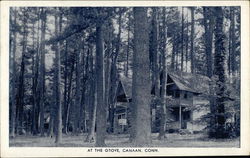 At the Grove Canaan, CT Postcard Postcard Postcard