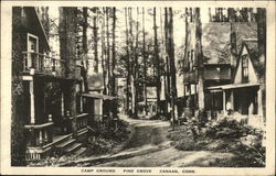 Camp Ground in Pine Grove Postcard