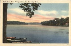North Cove, Lake Wangumbaug Postcard