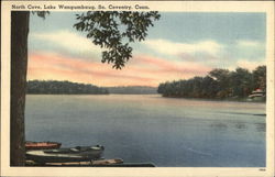 North Cove, Lake Wangumbaug South Coventry, CT Postcard Postcard Postcard