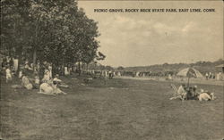 Picnic Grove, Rocky Neck State Park Postcard