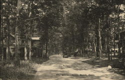 Wooded View of The Grove Postcard