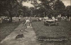 Picnic Grounds Sleeping Giant State Park (Mt. Carmel) Hamden, CT Postcard Postcard Postcard