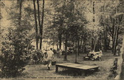 Picnic Area, Lake Waramaug State Park Postcard