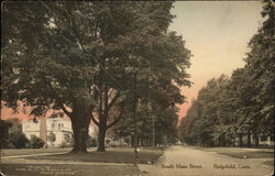 South Main Street Ridgefield, CT Postcard Postcard Postcard