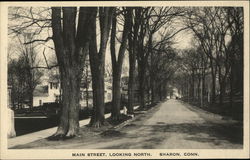 Main Street, Looking North Postcard