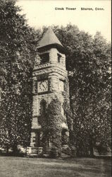 Ivy Covered Clock Tower Postcard