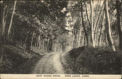 Scenic East Shore Drive Postcard