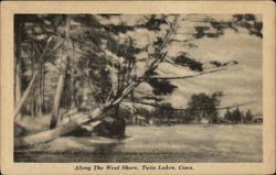 Along the West Shore Twin Lakes, CT Postcard Postcard Postcard