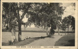 East Shore, Lake Washining Postcard