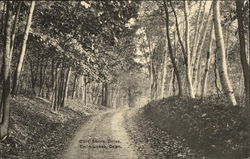 East Shore Drive Twin Lakes, CT Postcard Postcard Postcard