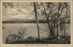 Scenic View of West Shore Postcard