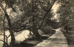 Shore Drive, Lake Washining Twin Lakes, CT Postcard Postcard Postcard