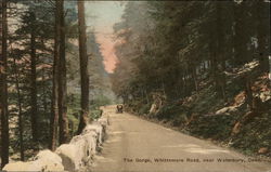 The Gorge on Whittemore Road Postcard