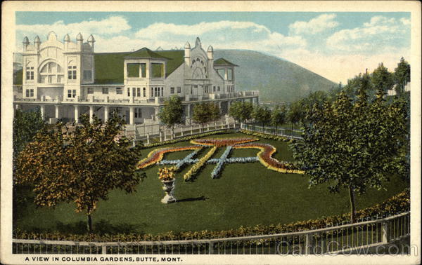A View in Columbia Gardens Butte Montana