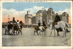 Ponies on the Beach Postcard