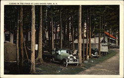 Cabin in the Pines Lake Shore Park, NH Postcard Postcard Postcard