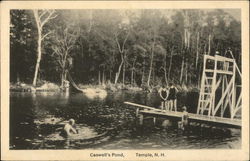 Caswell's Pond Temple, NH Postcard Postcard Postcard